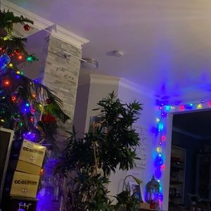 Meet your Posher, Hans